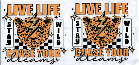 16oz Live Life Inspirational