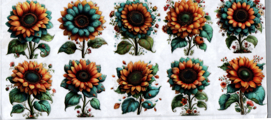 16oz Different Sunflowers 87