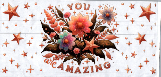 16oz You are Amazing Inspirational