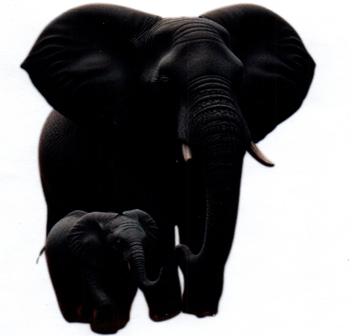 Black Mama Elephant & baby Single Decal 92