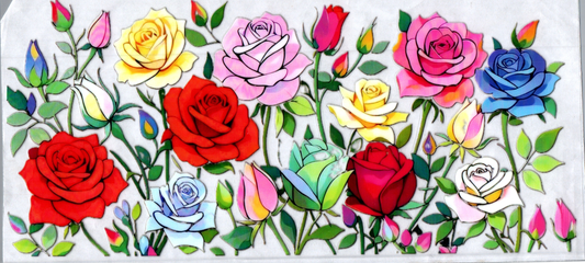 16oz Pretty Colored Roses 99