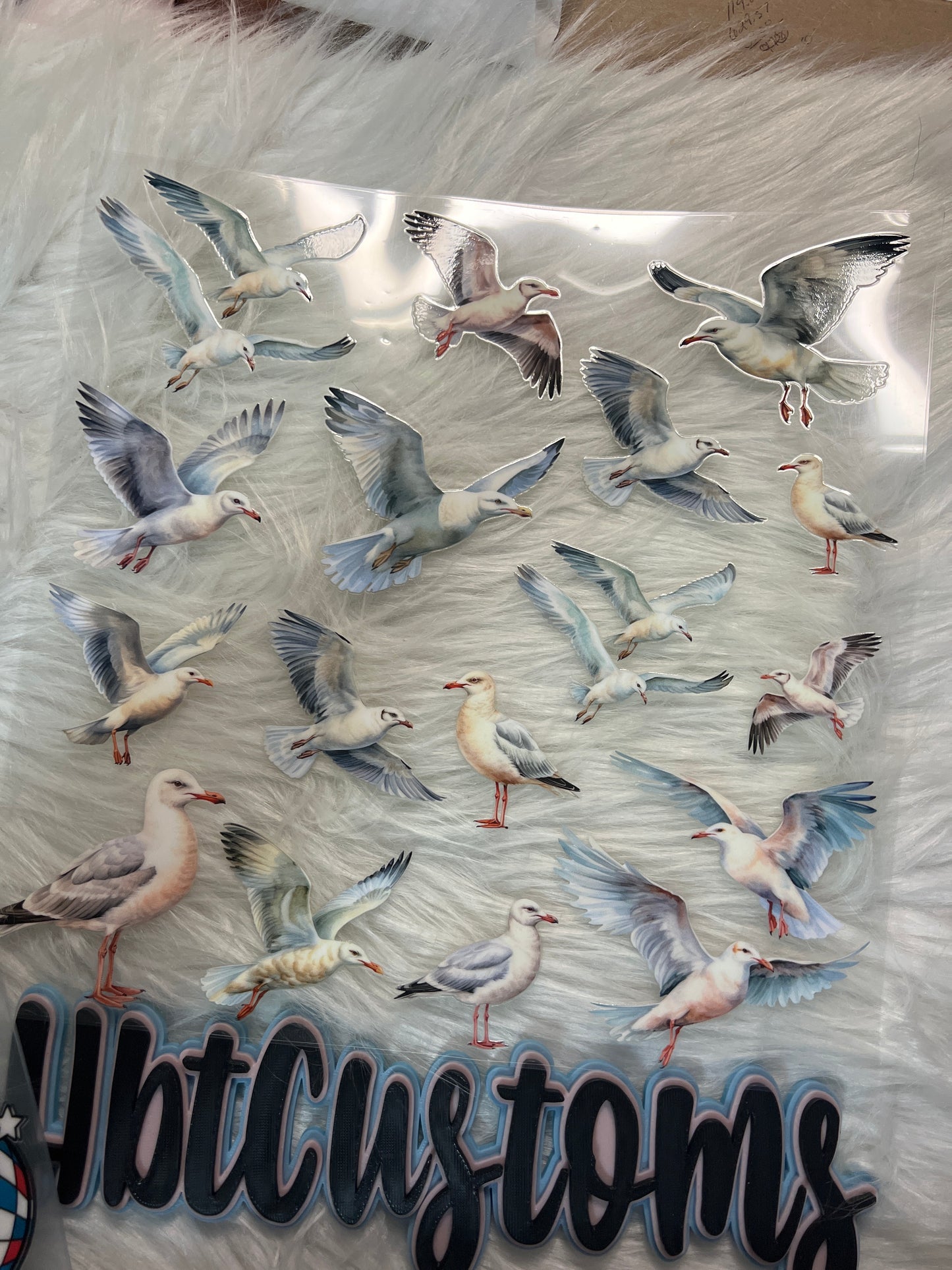 Seagulls Element