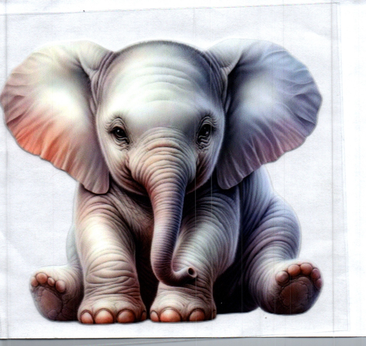 Elephant baby Animal Decal