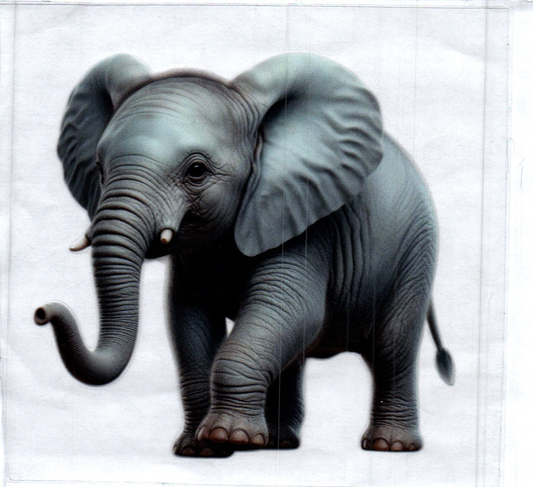 Elephant gray Animal Decal