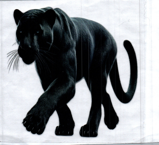 Black Panther 1 Animal Decal