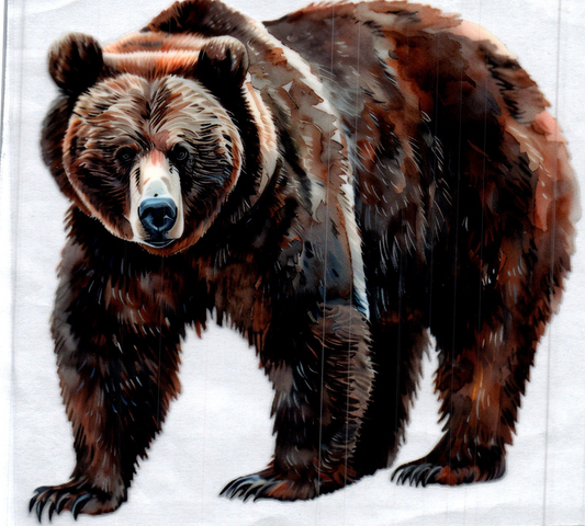 Bear Animal Decal