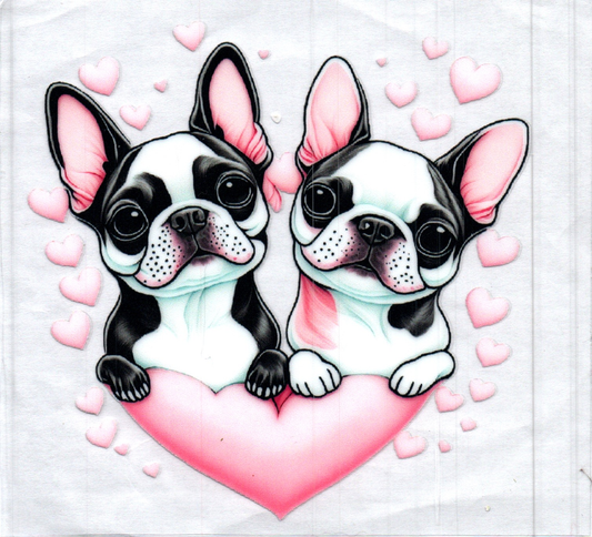 Cute Boston Terriers in a Heart Animal Decal