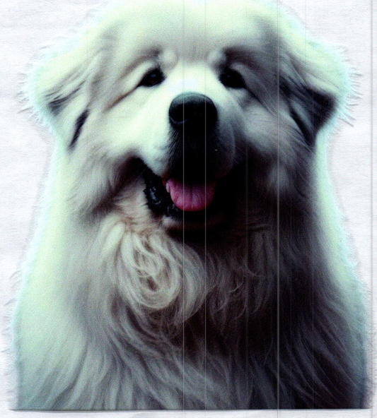 Great Pyrenees Dog 1 Animal Decal