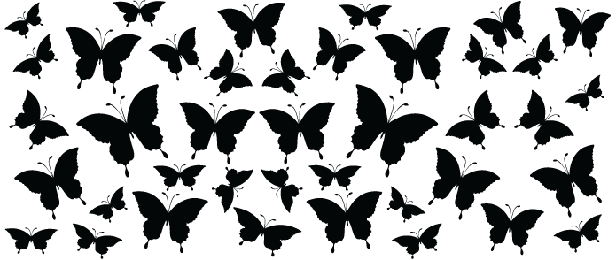 Butterfly silhouette 16 oz