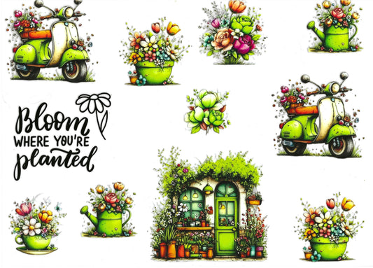 Bloom where you're planted Element 11 x 9