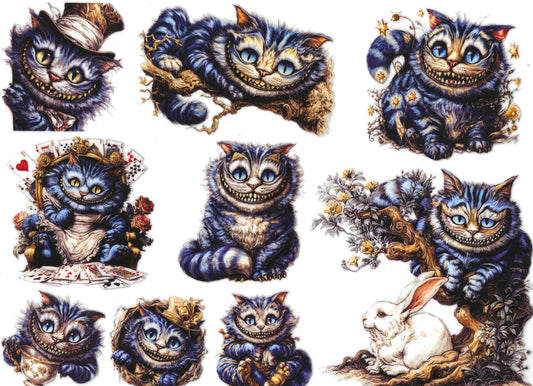 C Cat Element Sheet