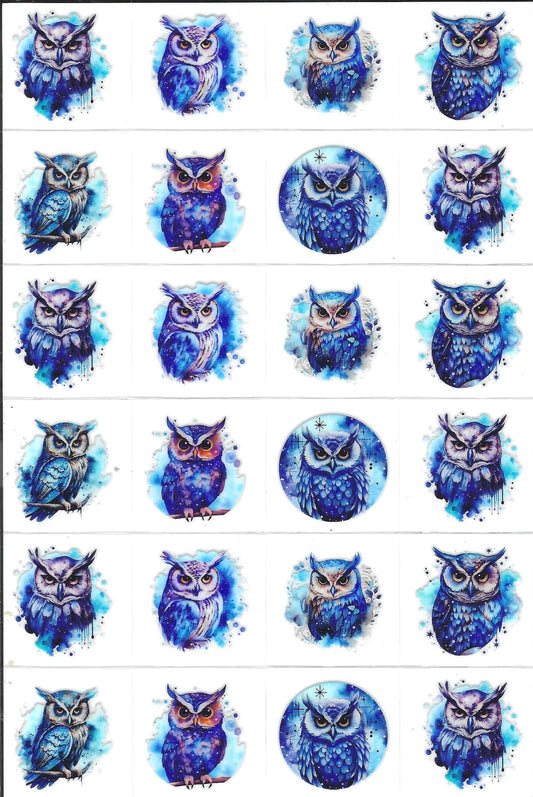 Blue Owls Kiss Cut