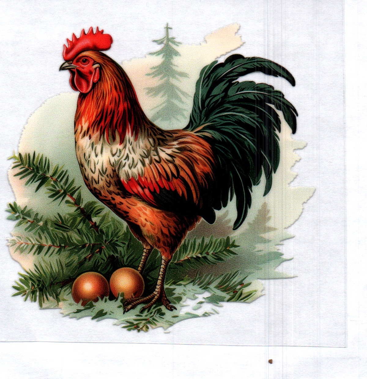 Chicken w/eggs Single Decal 133