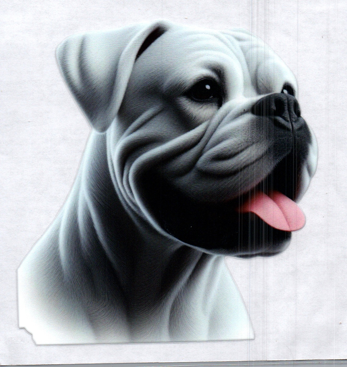 White Bullmastiff Single Decal 145