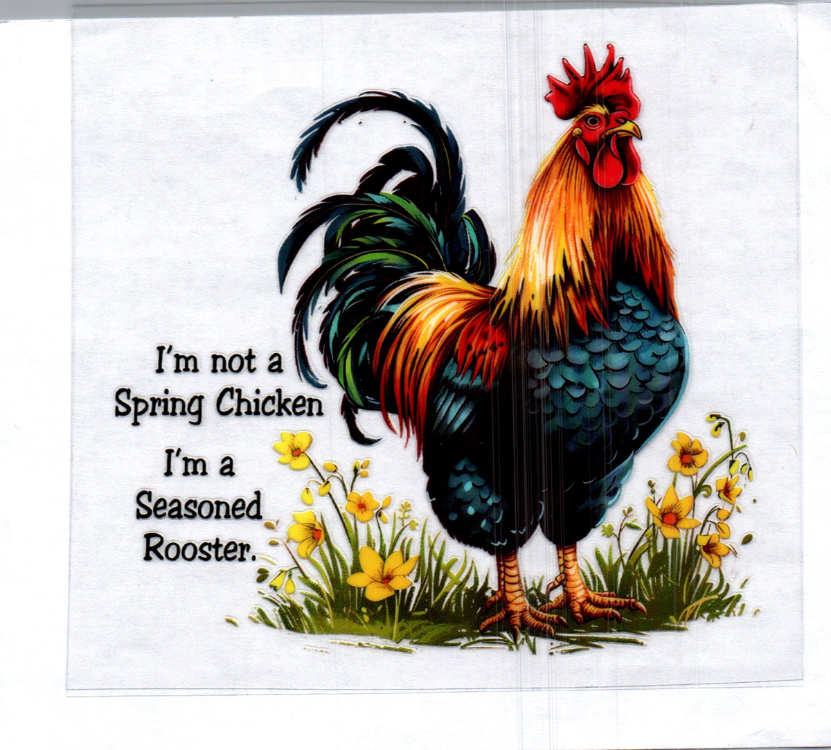 I'm not a spring chicken I'm a seasoned Rooster Single Decal 148