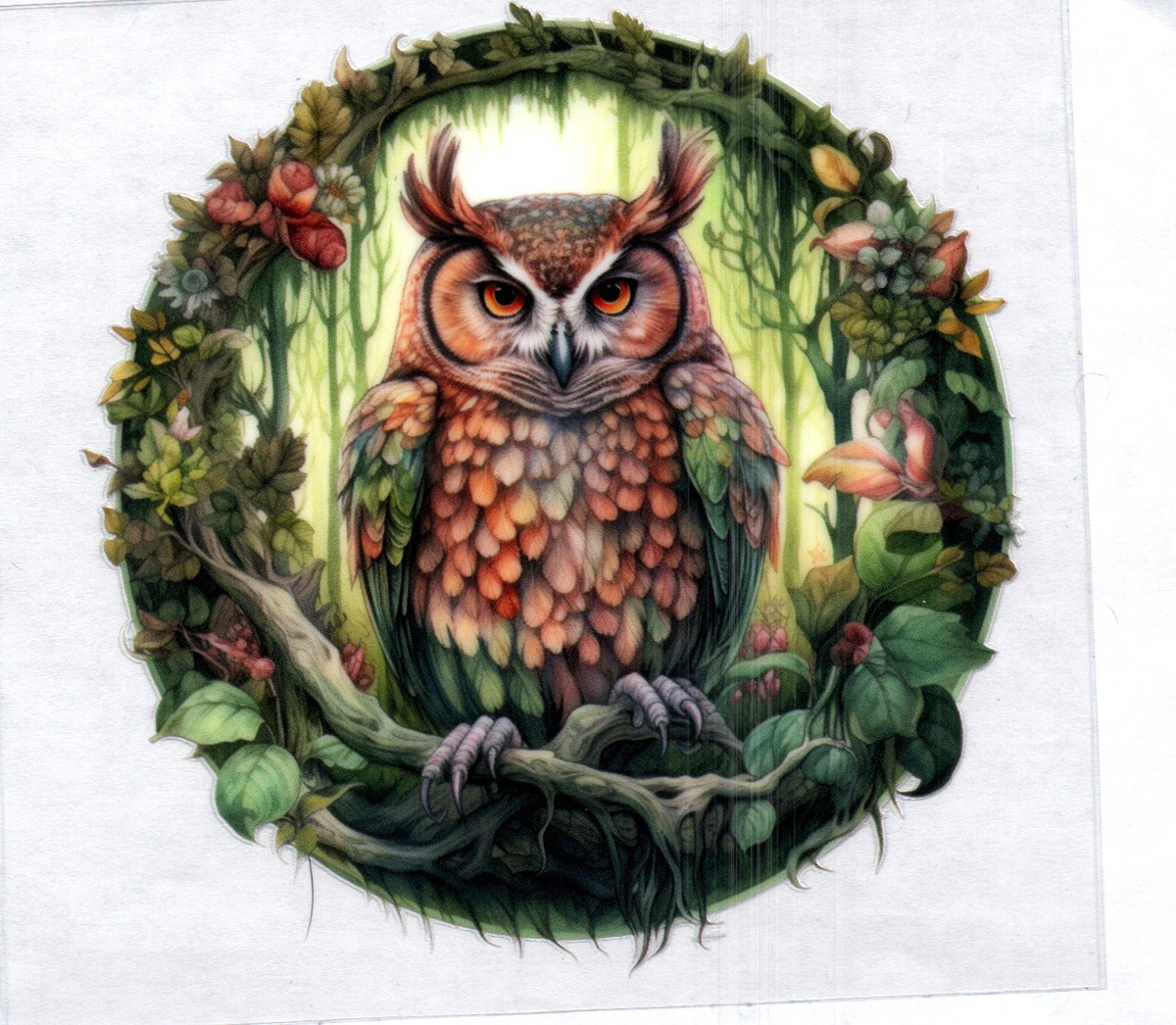 Owl on branch w/Forrest 84 Single Decal