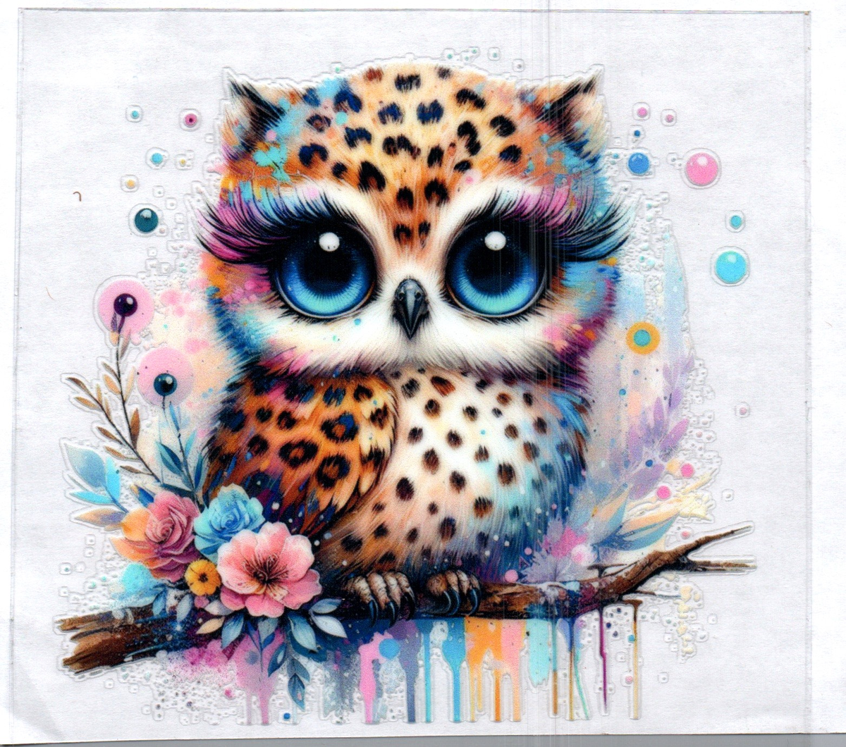 Baby spotted owl 89 Single Decal