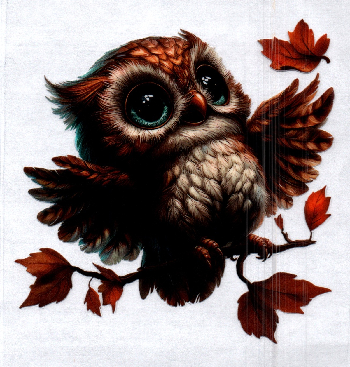 Baby brown owl on branch wings out 96 Single Decal