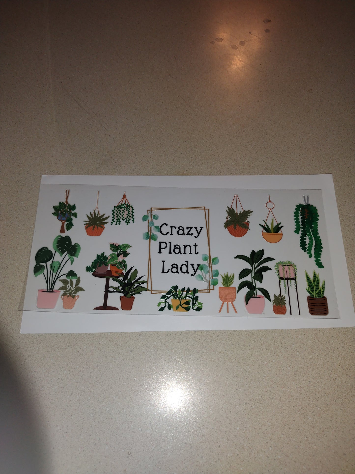 CRAZY PLANT LADY UV DTF