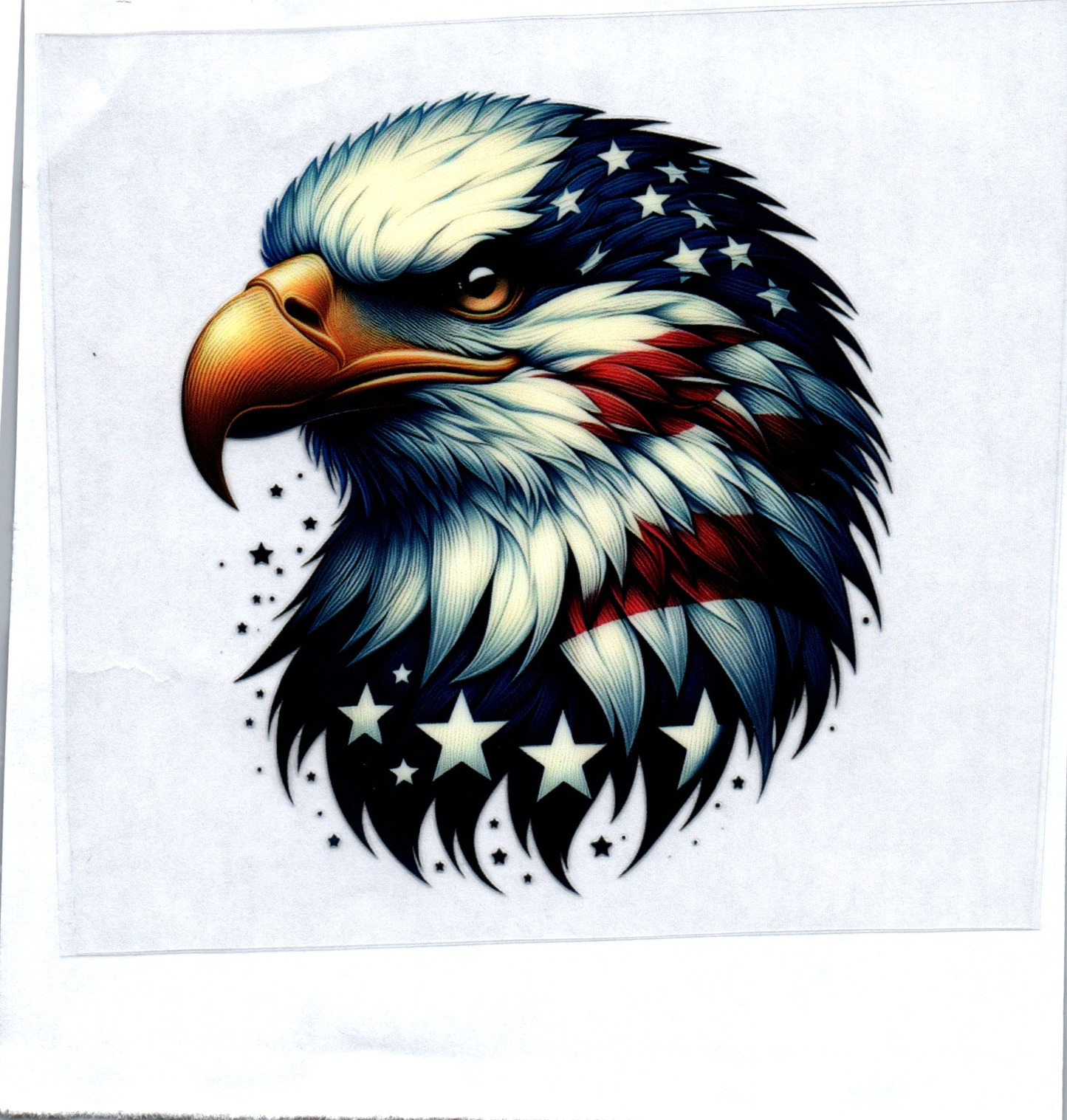 RWB Eagle Head Patriotic Decal