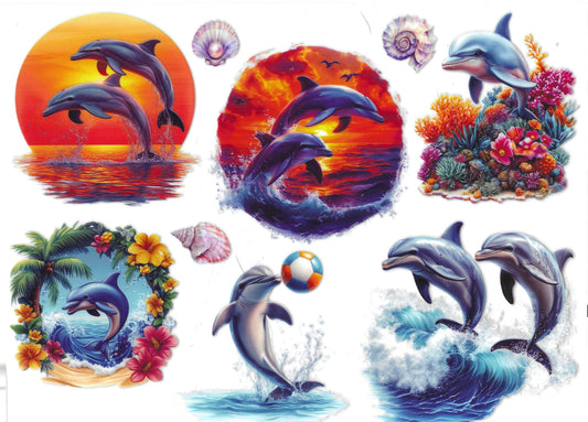 Dolphins Element