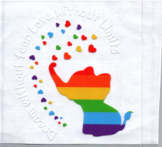 Dream without fear Love without Limits Pride Decal