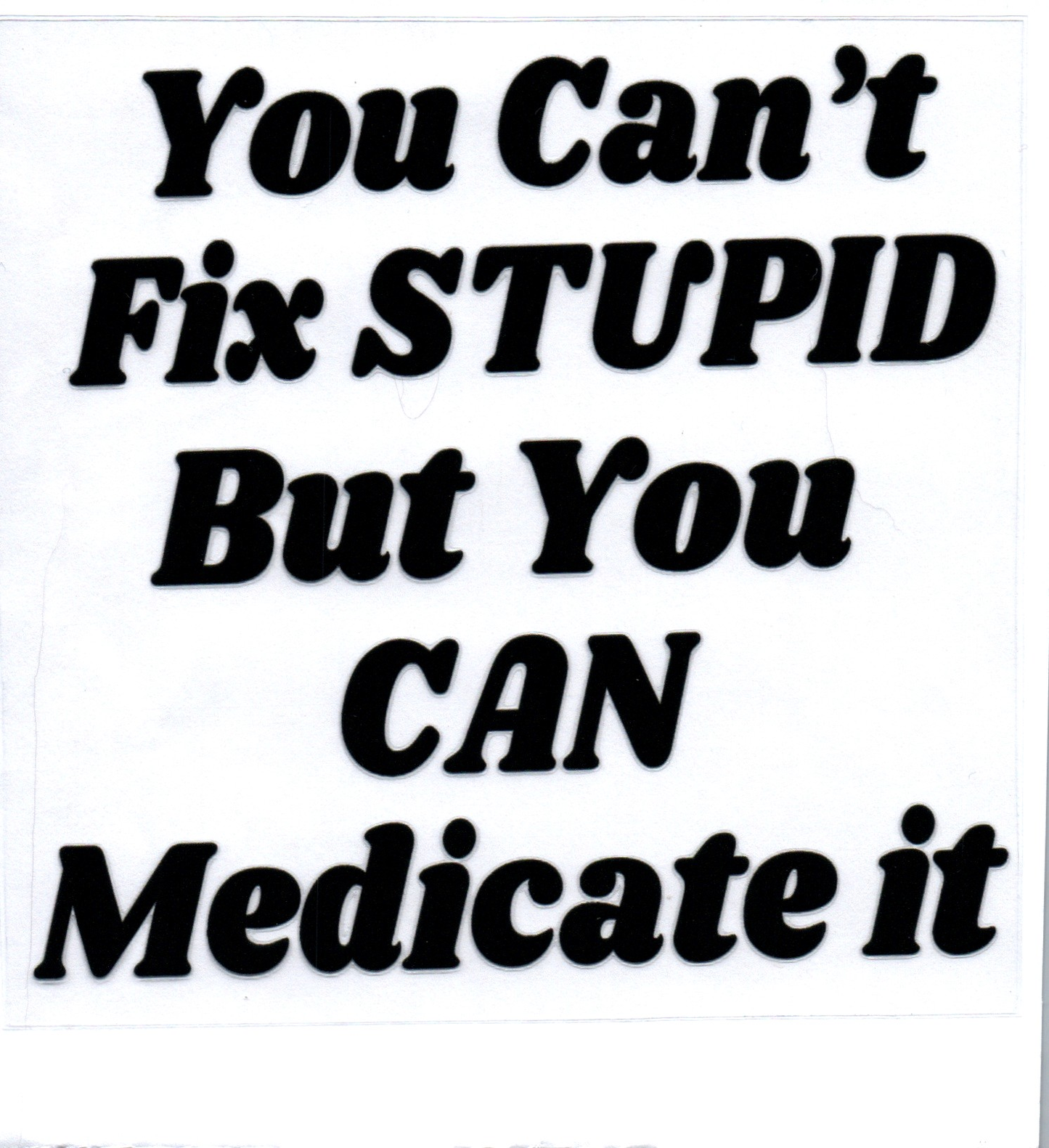 You can't fix stupid Sassy Decal 18