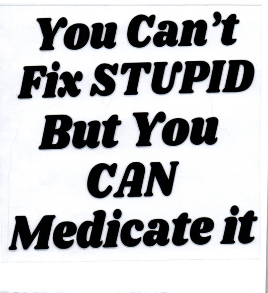 You can't fix stupid Sassy Decal 18