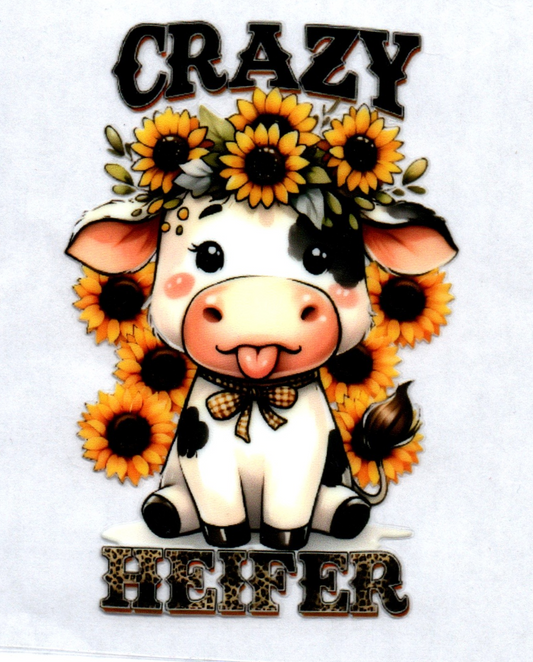 Crazy Heifer Sassy Decal 2