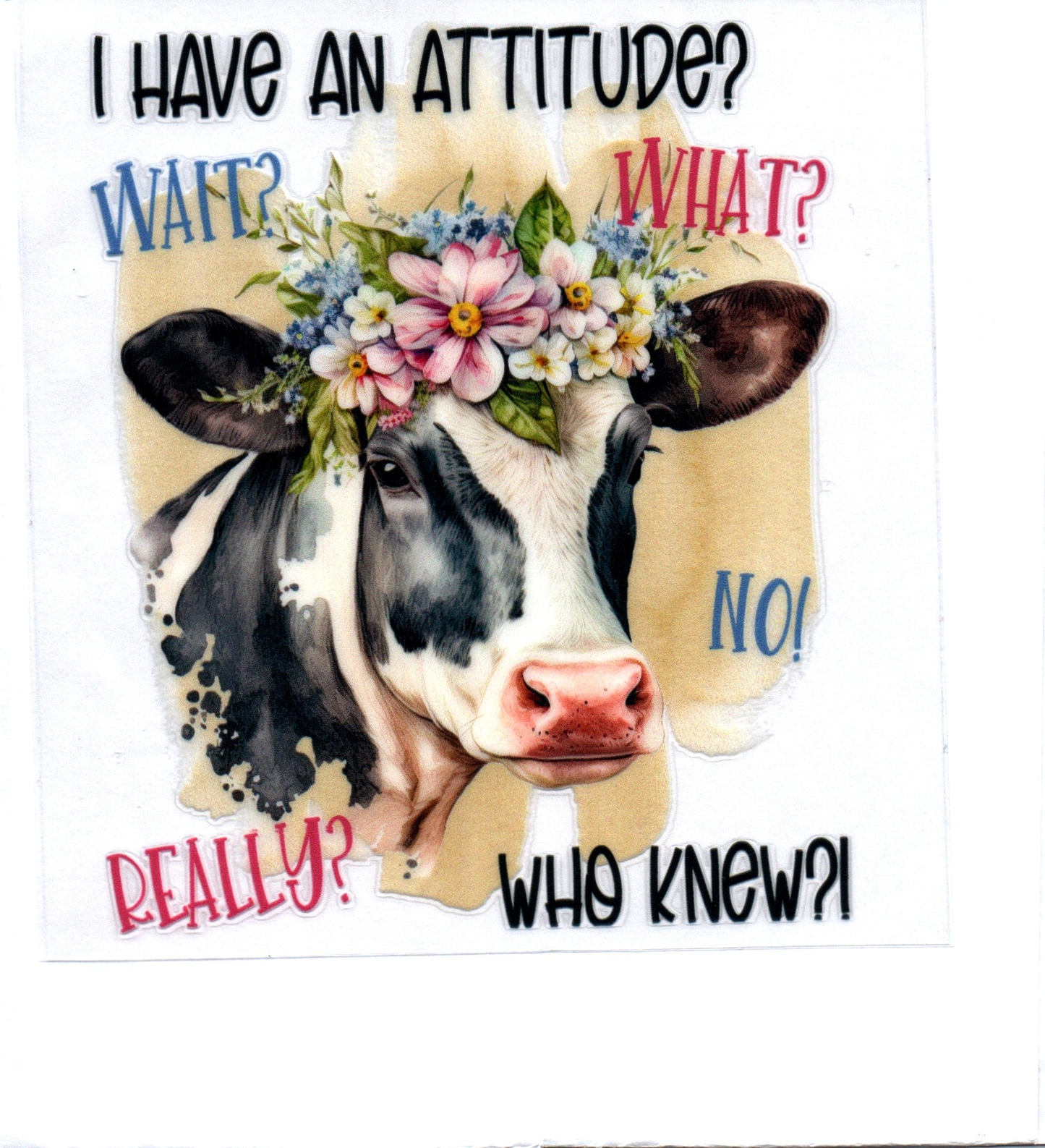 I have an attitude? Wait? Sassy Decal 30
