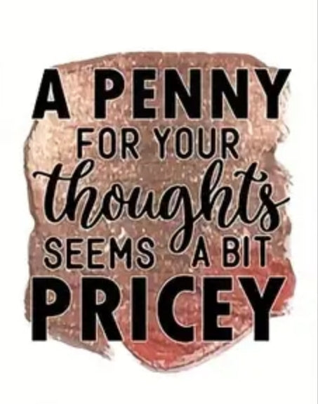 A PENNY IS PRICEY T-SHIRT