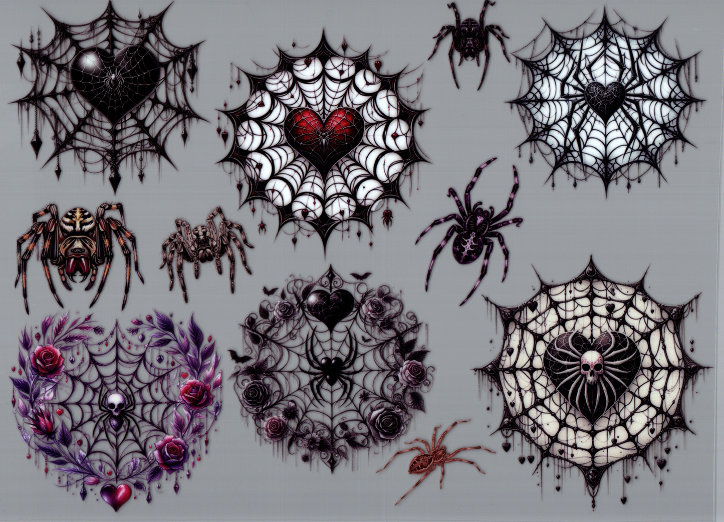Spiders & Webs Element