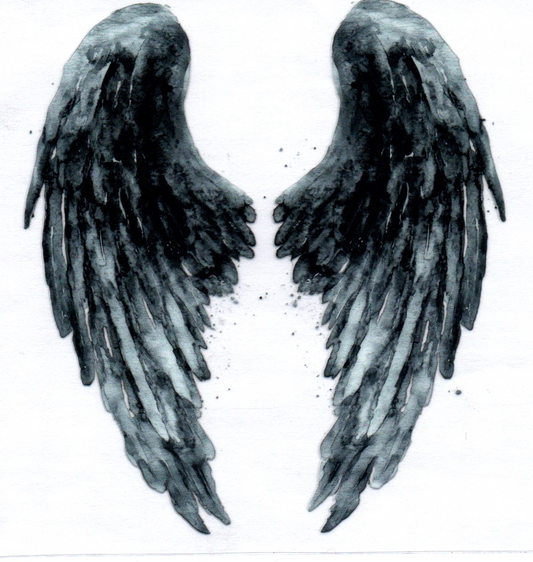 Wings Decal 13