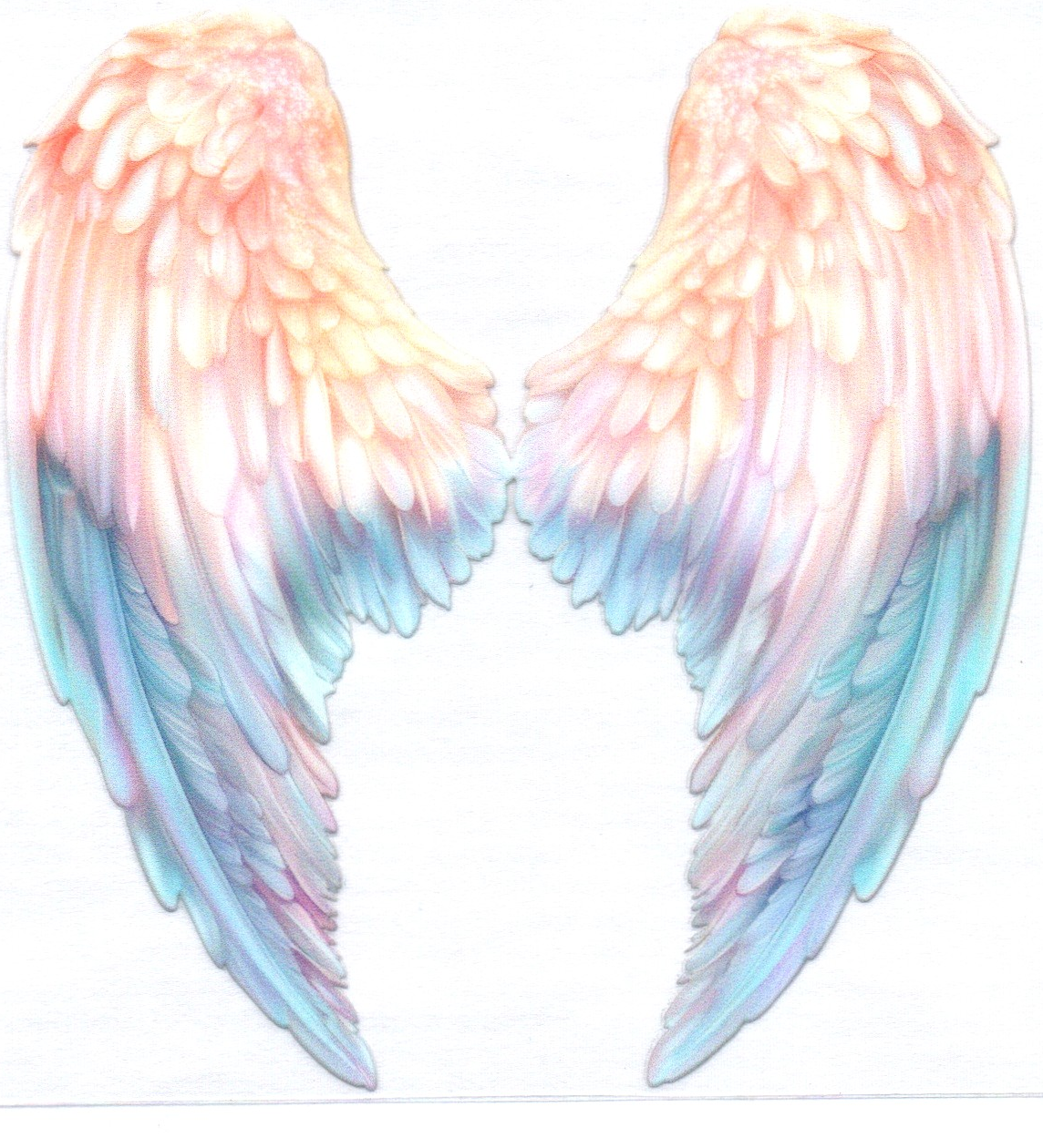 Wings Decal 15