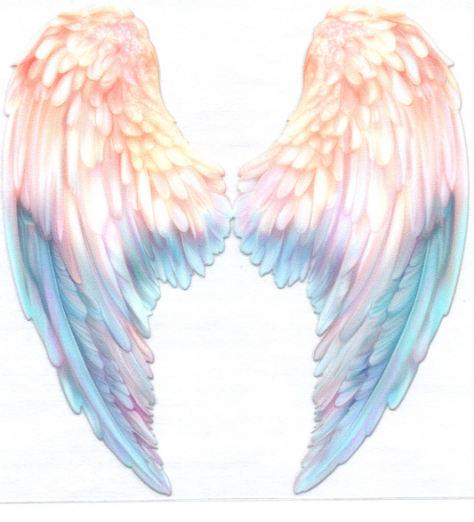 Wings Decal 15