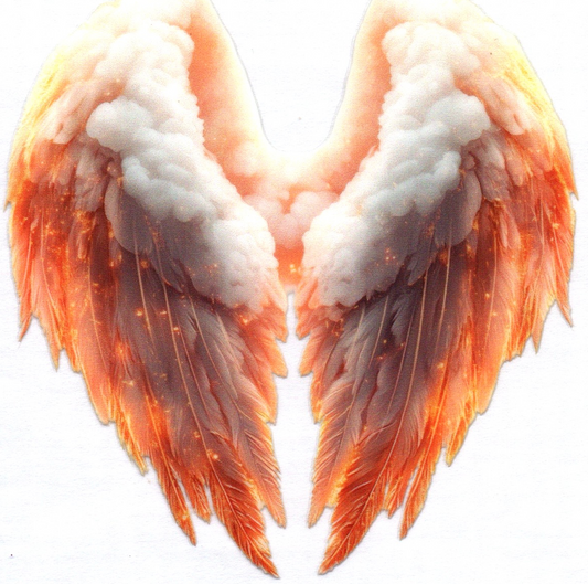 Wings Decal 19