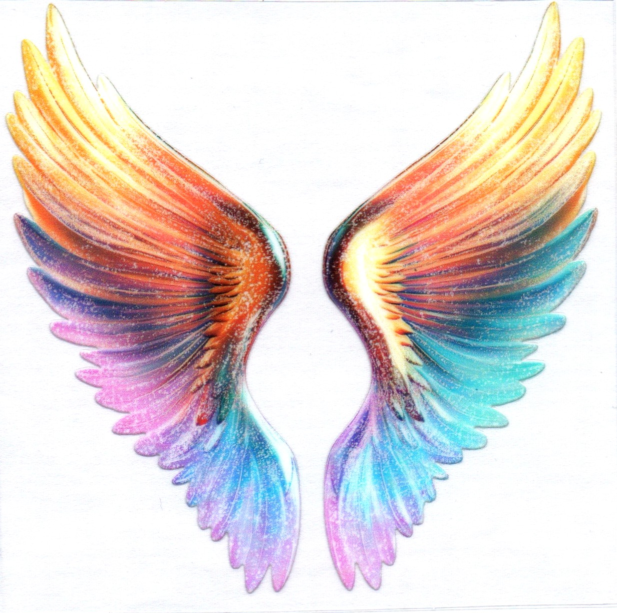 Wings Decal 20