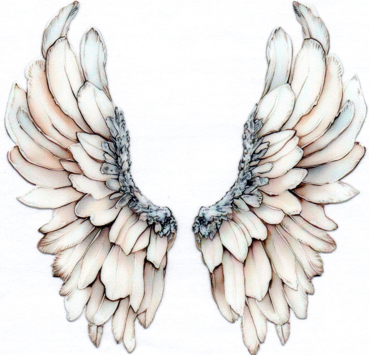Wings Decal 4