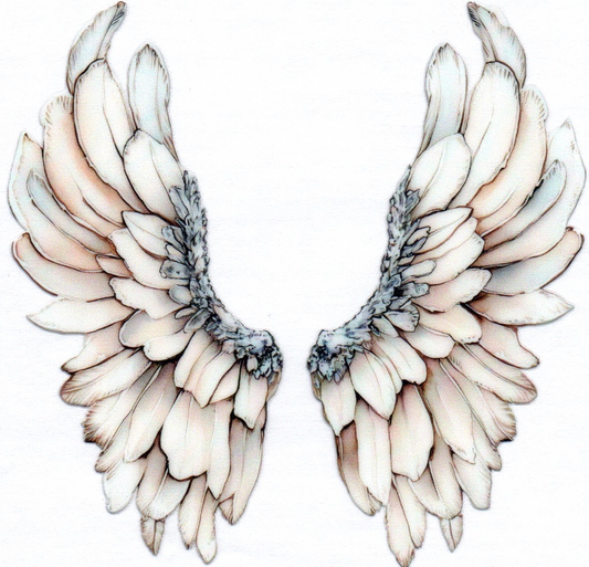 Wings Decal 4