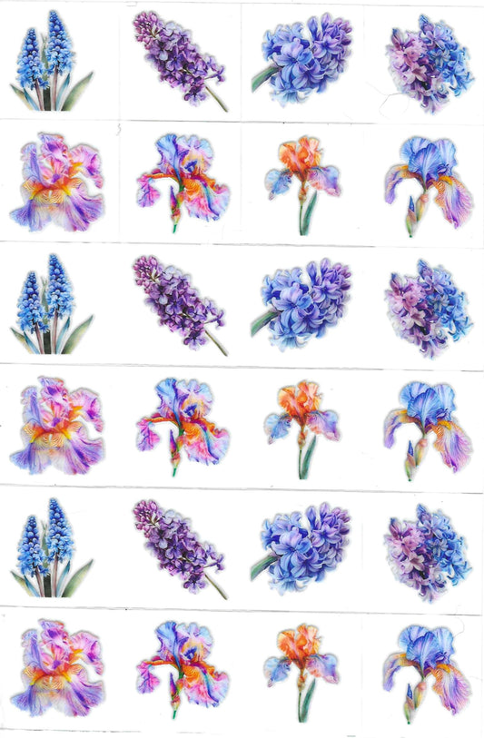 Flowers blue/purple Kiss Cut