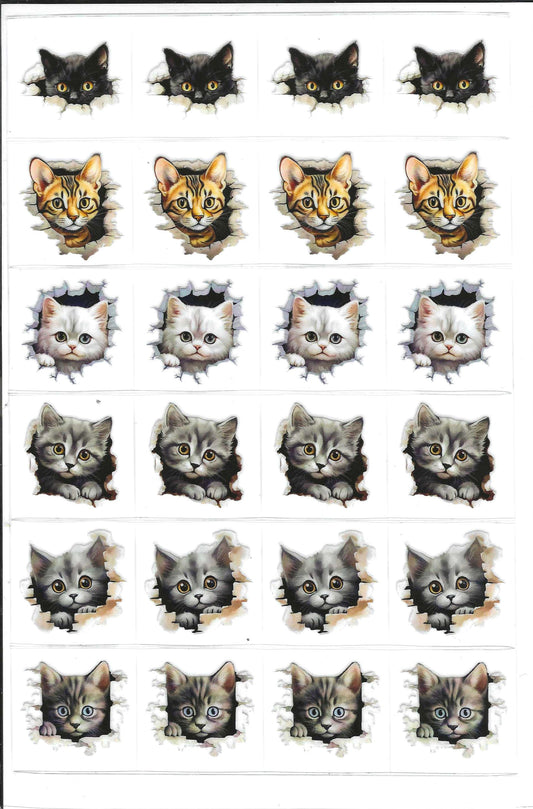 Cats 3 Kiss Cut
