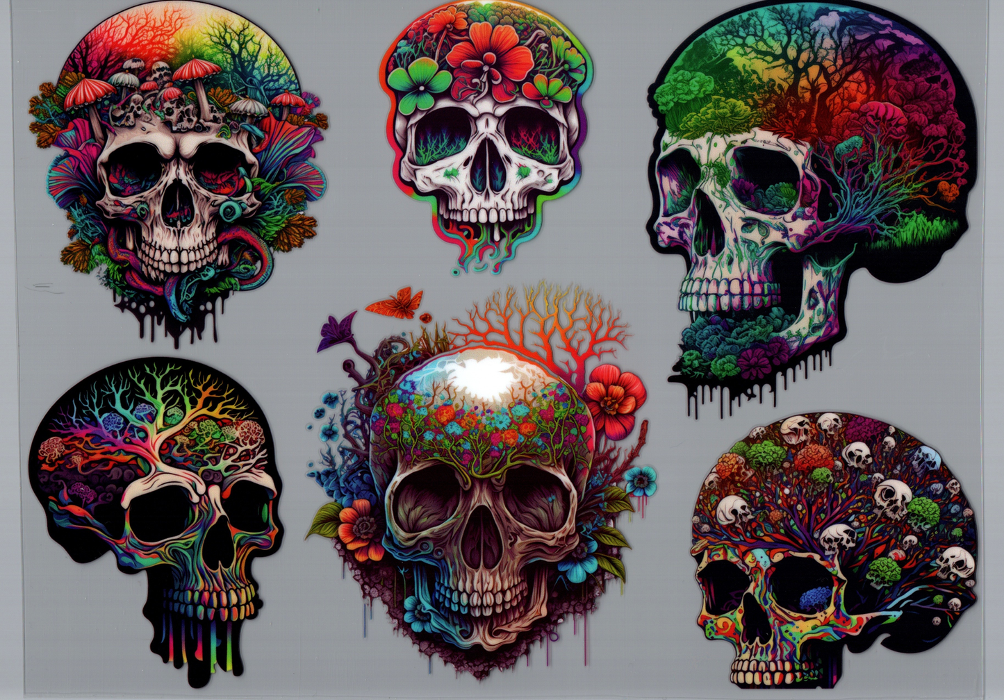 Colorful Skulls Element