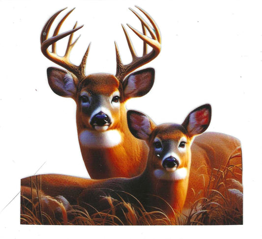 Deer Decal
