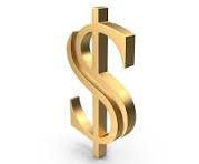 payment purchase $20