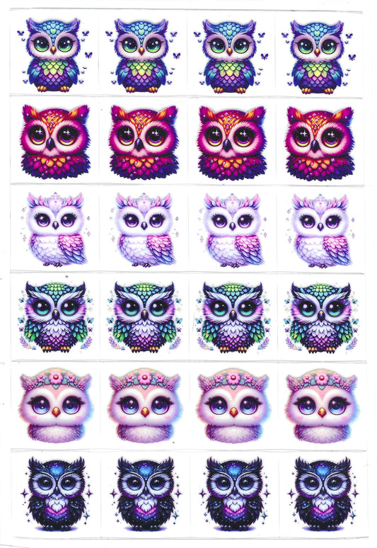 Owls Kiss Cuts