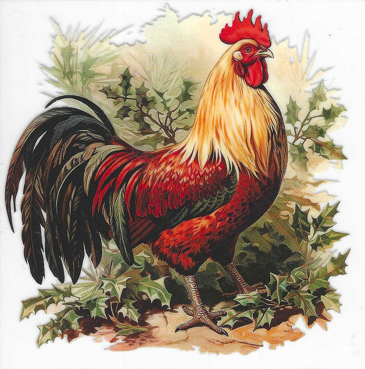 Rooster Decal