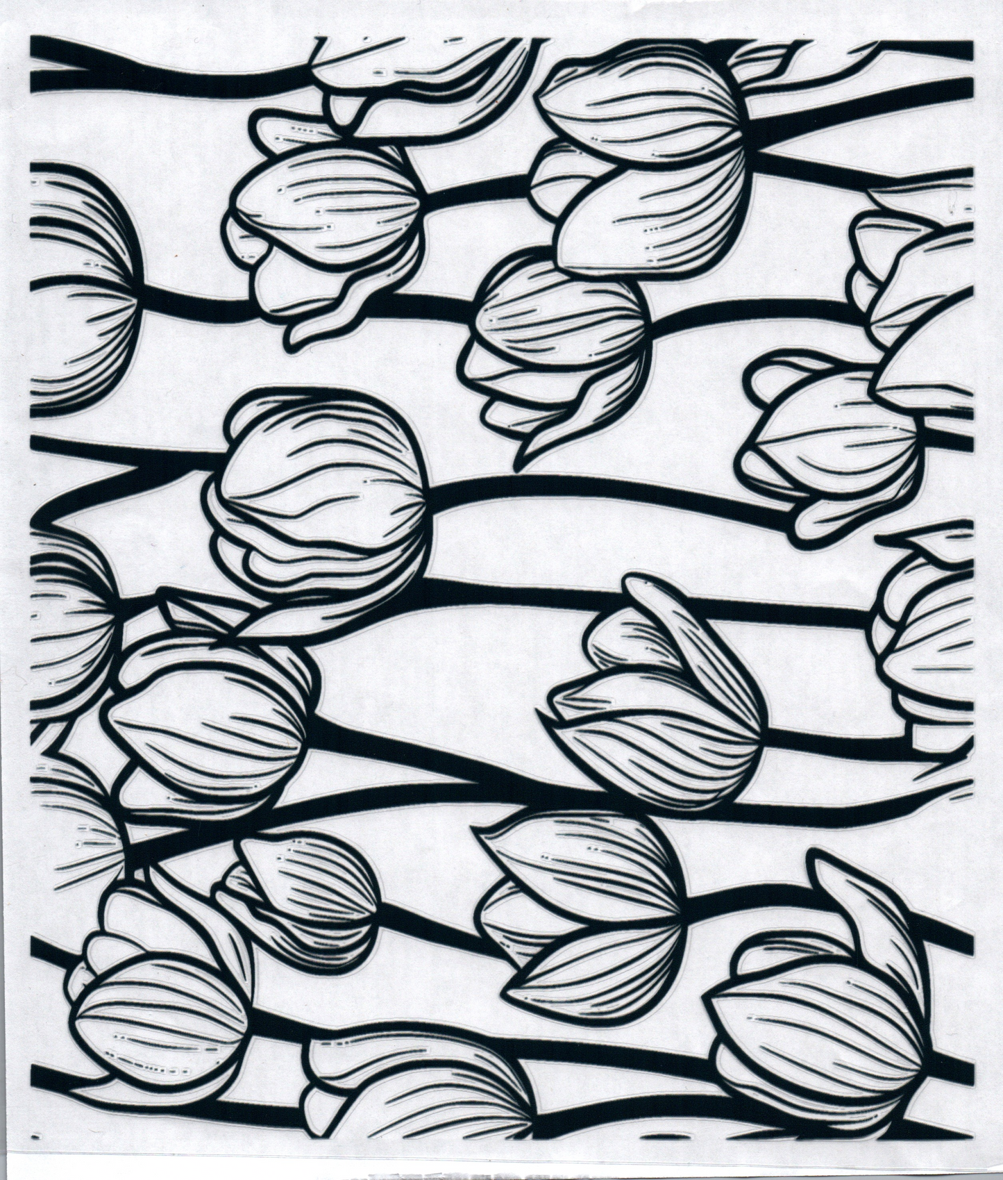 Tulip 20oz