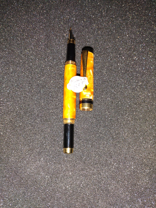 Custom made Fountain Pen